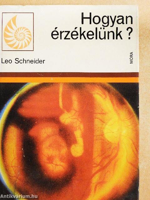Hogyan érzékelünk?