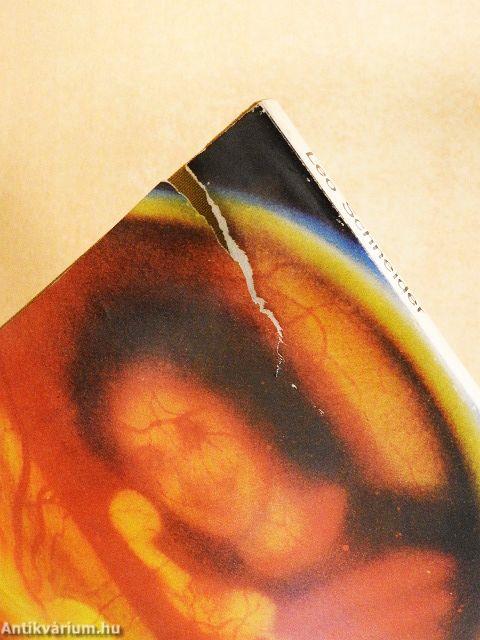 Hogyan érzékelünk?