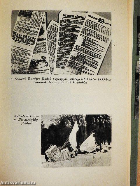 Kik voltak, mit akartak?