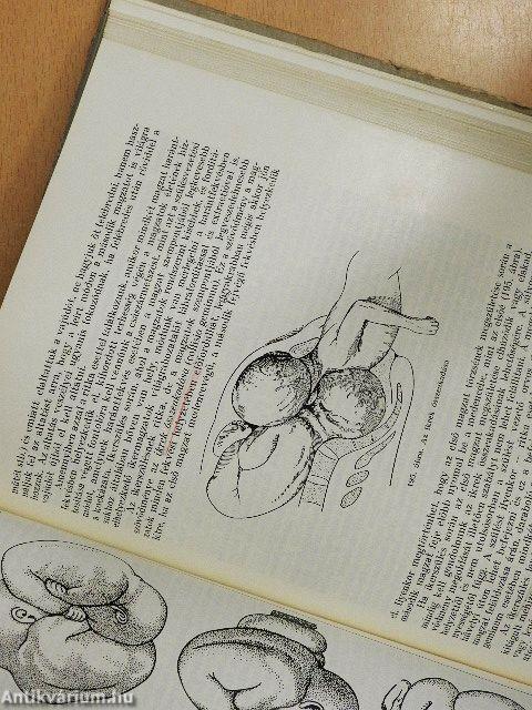 A szülészet tankönyve