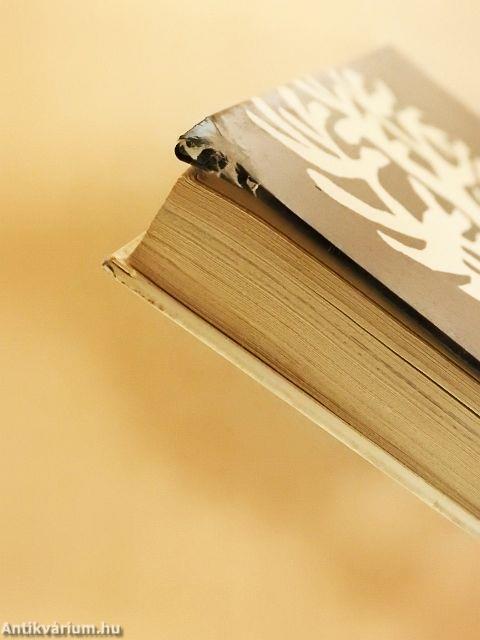 Kisdobosok évkönyve 1975