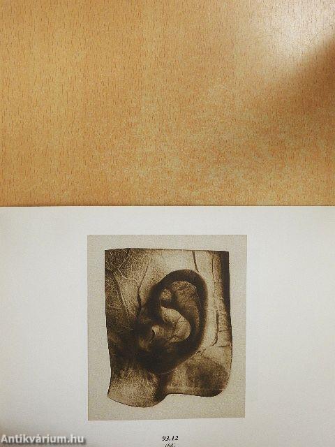 Kerekes Gábor - Observations