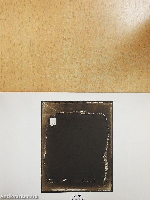 Kerekes Gábor - Observations