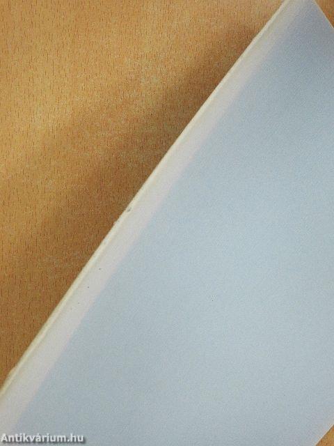 Fotó/város/történet - Híres fényképészek a városról