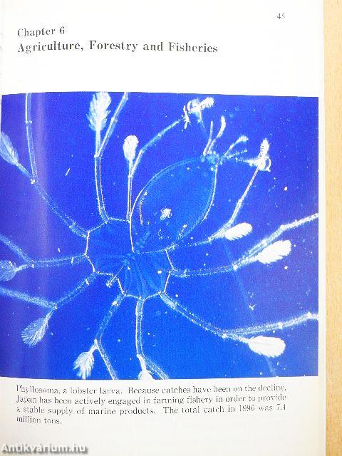 Statistical Handbook of Japan 1998