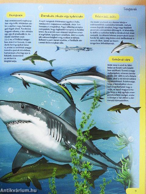 Pillantás a természetre