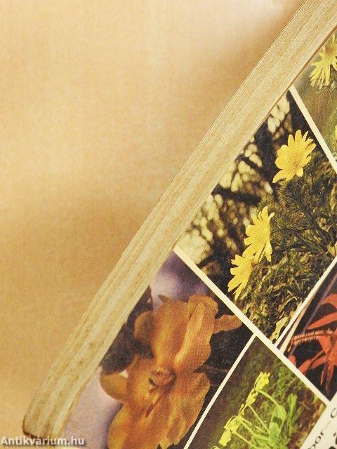 Kis növényhatározó rendszertani és ökológiai tájékoztatóval