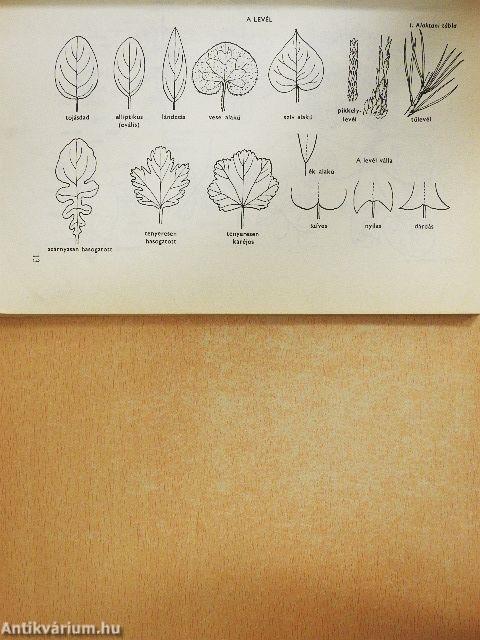 Kis növényhatározó rendszertani és ökológiai tájékoztatóval
