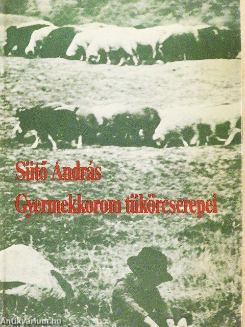 Gyermekkorom tükörcserepei