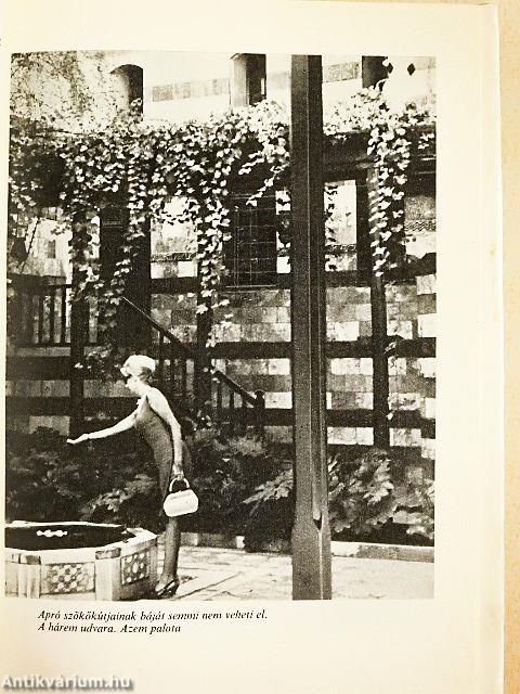 Legyen az egyik feleségem