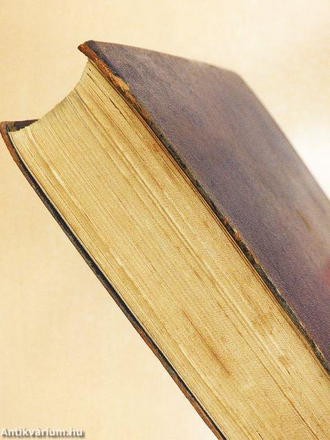 A mindennapi élet jogi problémái