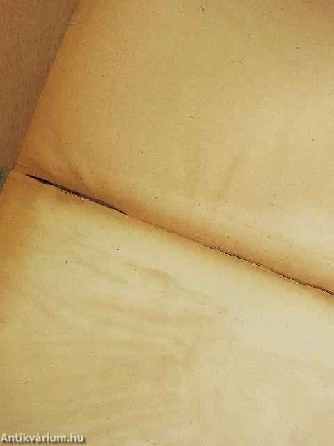 A kizsákmányoló osztályok felszámolása és az osztálykülönbségek megszüntetése a Szovjetunióban