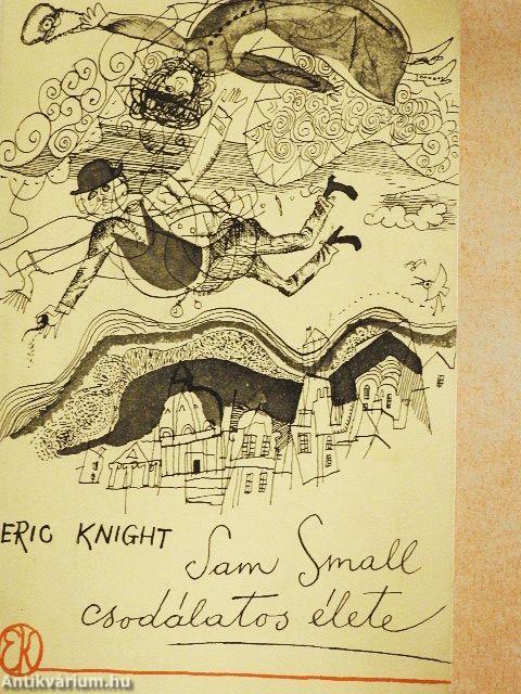 Sam Small csodálatos élete