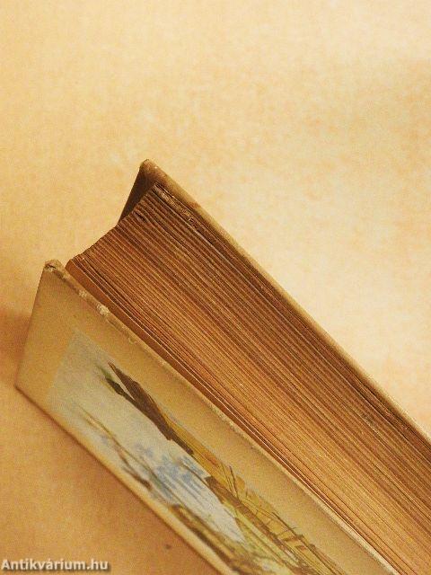 Robinsonék igazsága