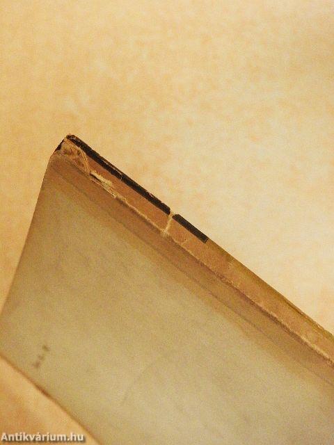 Belgyógyászati vesebajok és a hypertoniabetegség