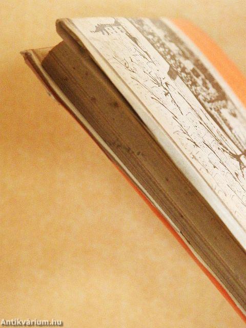 A magyar jakobinusok köztársasági mozgalma