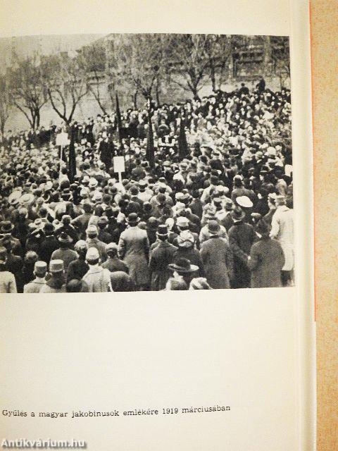 A magyar jakobinusok köztársasági mozgalma