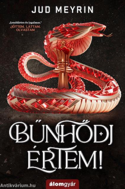 Bűnhődj értem!