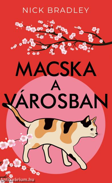 Macska a városban