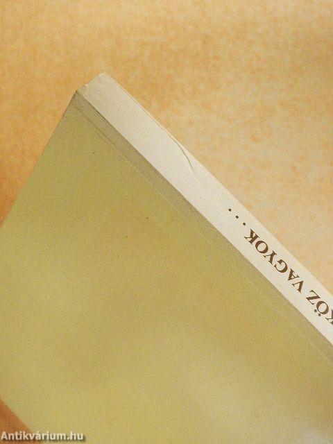 Csak eszköz vagyok...