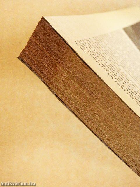 Ispánok, bárók, kiskirályok