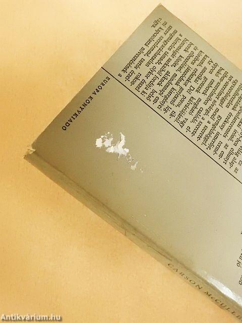 Egy aranyszem tükrében