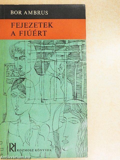 Fejezetek a fiúért
