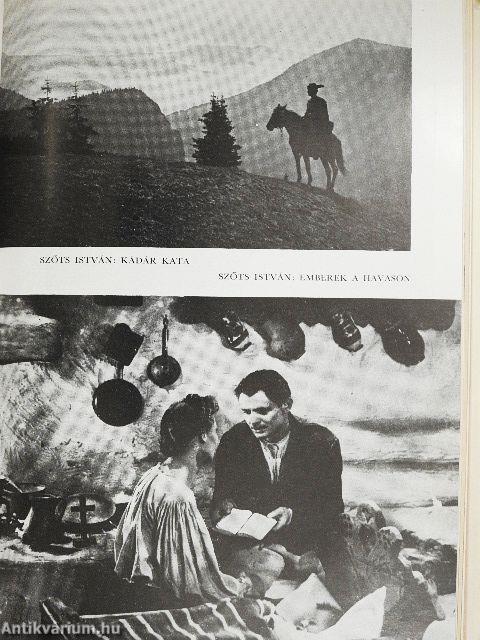 A látvány logikája