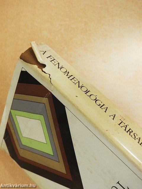 A fenomenológia a társadalomtudományban