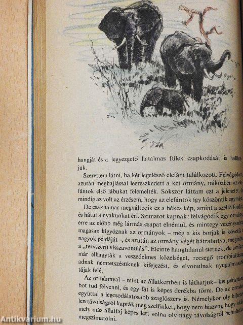 Kelet-Afrika vadonjaiban