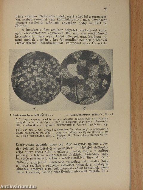 A kőszegi hegység szárazföldi ászkarákfaunája