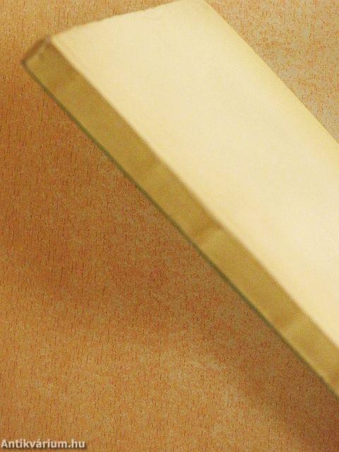 A felbomló család gyermeke