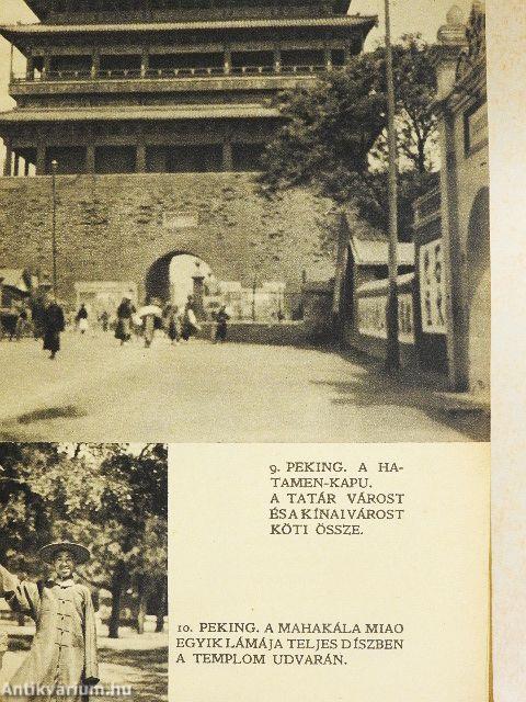 Sárga istenek, sárga emberek