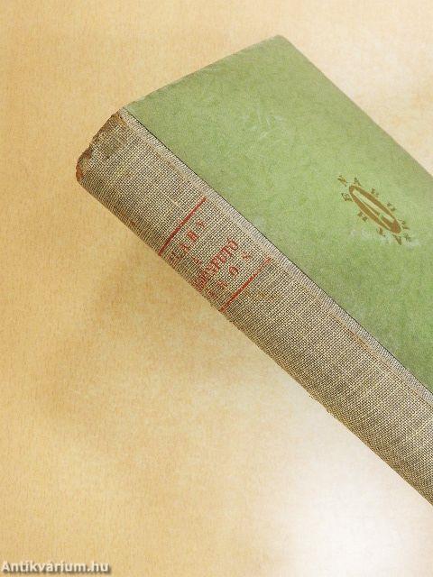 A földönfutó város