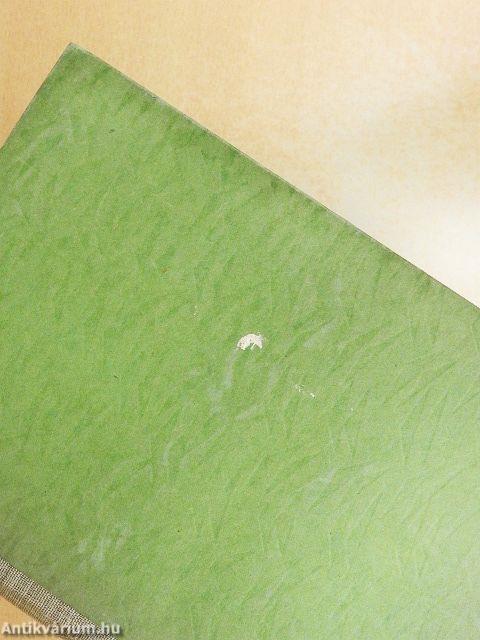 A földönfutó város