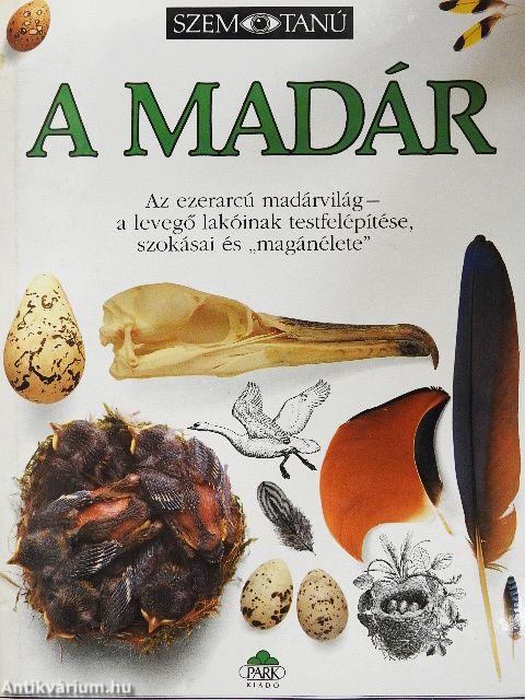 A madár