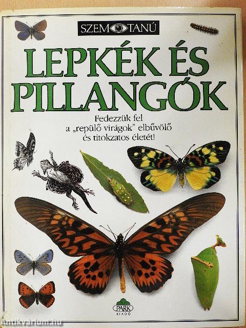 Lepkék és pillangók
