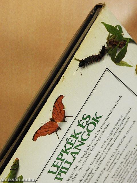 Lepkék és pillangók