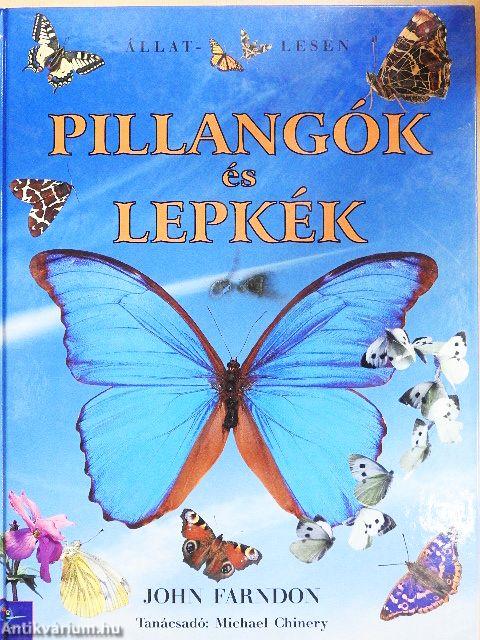 Pillangók és lepkék