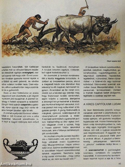 Ókori civilizációk