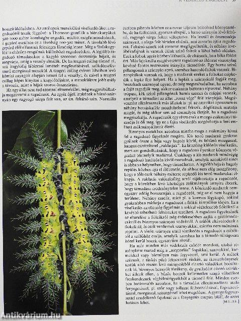 Az állatok viselkedése