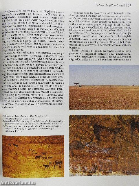 Afrikai királyságok