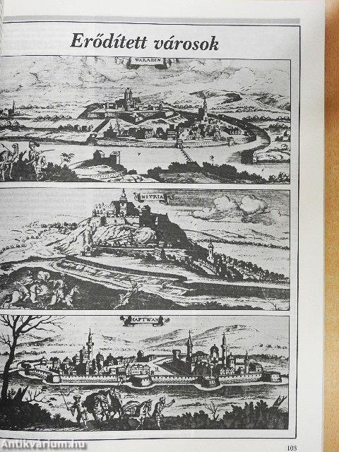 Magyarok a Kárpát-medencében