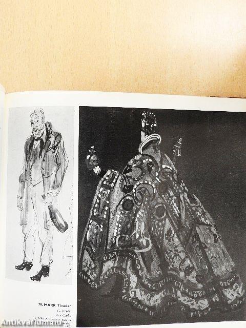 Scenographia hungarica