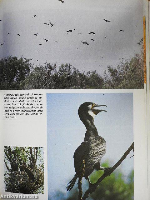 Durrell a Szovjetunióban