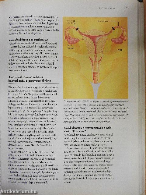 A szex és az emberi kapcsolatok