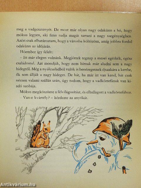 Madárijesztő Manó