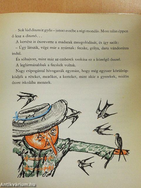 Madárijesztő Manó