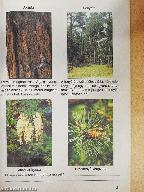 Környezetismeret - környezetvédelem 2.