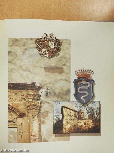 Álló- és mozgóképek